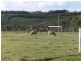 Lot 12052 Mockerdillup Road, Bridgetown WA 6255