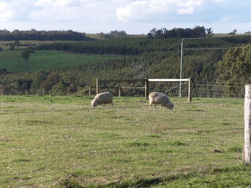 Lot 12052 Mockerdillup Road, Bridgetown WA 6255
