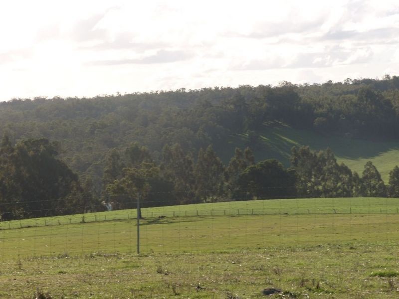 Lot 12052 Mockerdillup Road, Bridgetown WA 6255