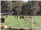 Lot 12052 Mockerdillup Road, Bridgetown WA 6255