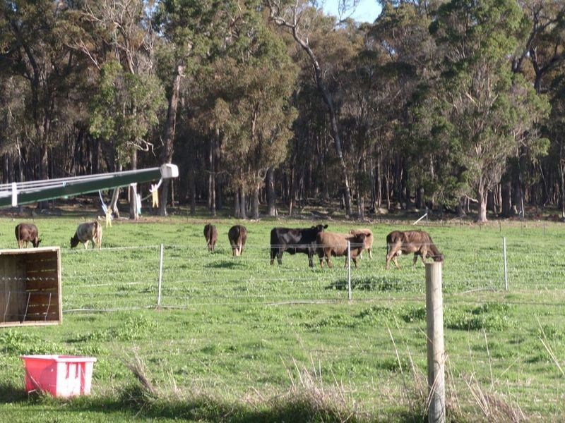 Lot 12052 Mockerdillup Road, Bridgetown WA 6255