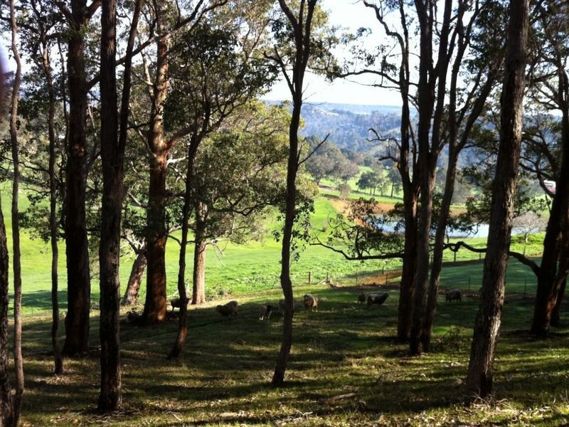 Lot 6 Rokewood Heights, Bridgetown WA 6255