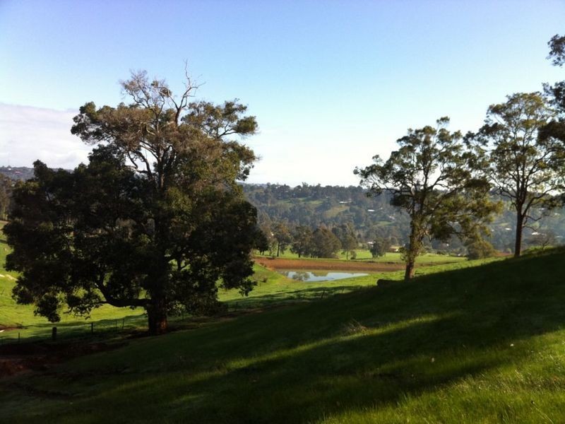 Lot 6 Rokewood Heights, Bridgetown WA 6255