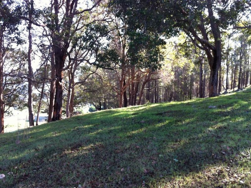 Lot 6 Rokewood Heights, Bridgetown WA 6255