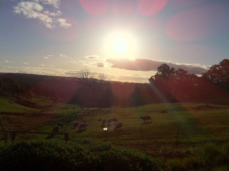 Lot 6 Rokewood Heights, Bridgetown WA 6255