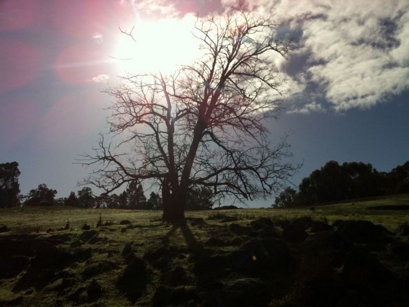 Lot 6 Rokewood Heights, Bridgetown WA 6255