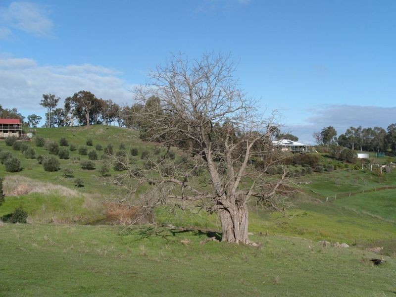 Lot 6 Rokewood Heights, Bridgetown WA 6255