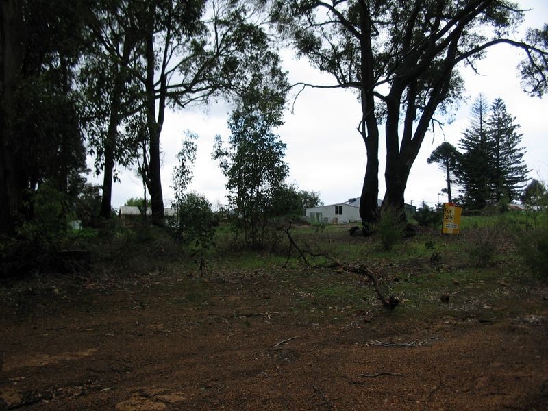 48 Diorite Street, Greenbushes WA 6254