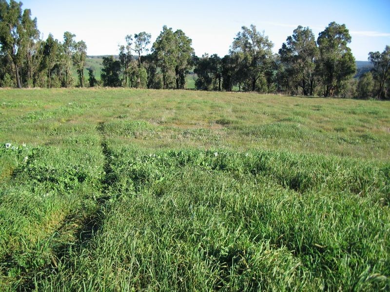 Lot 149 Manor Ridge, Bridgetown WA 6255