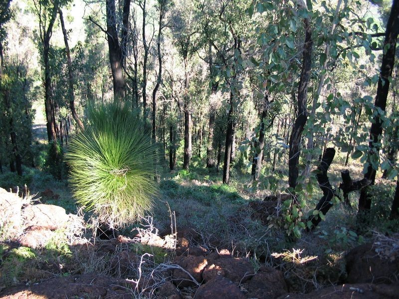 Lot 149 Manor Ridge, Bridgetown WA 6255