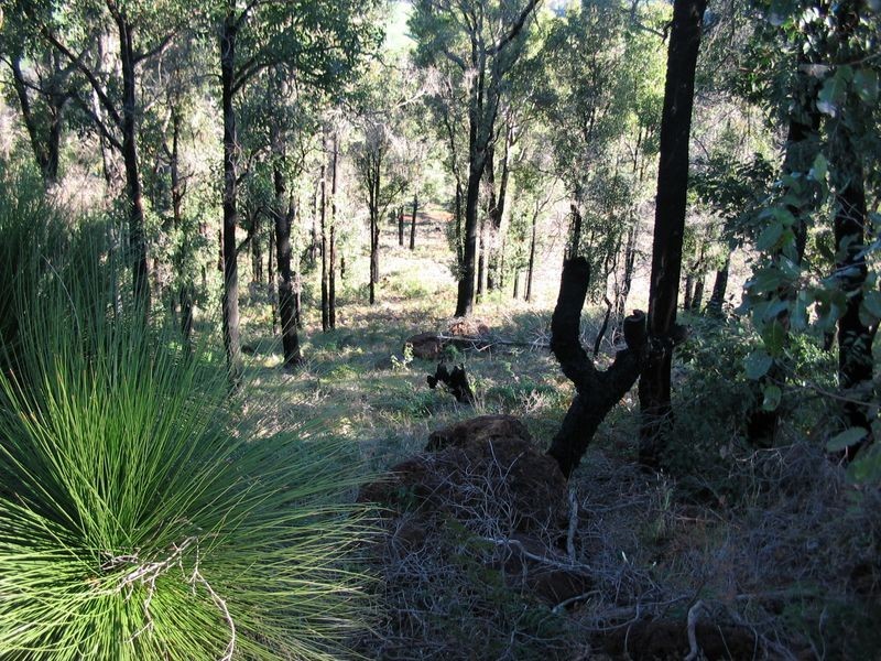 Lot 149 Manor Ridge, Bridgetown WA 6255