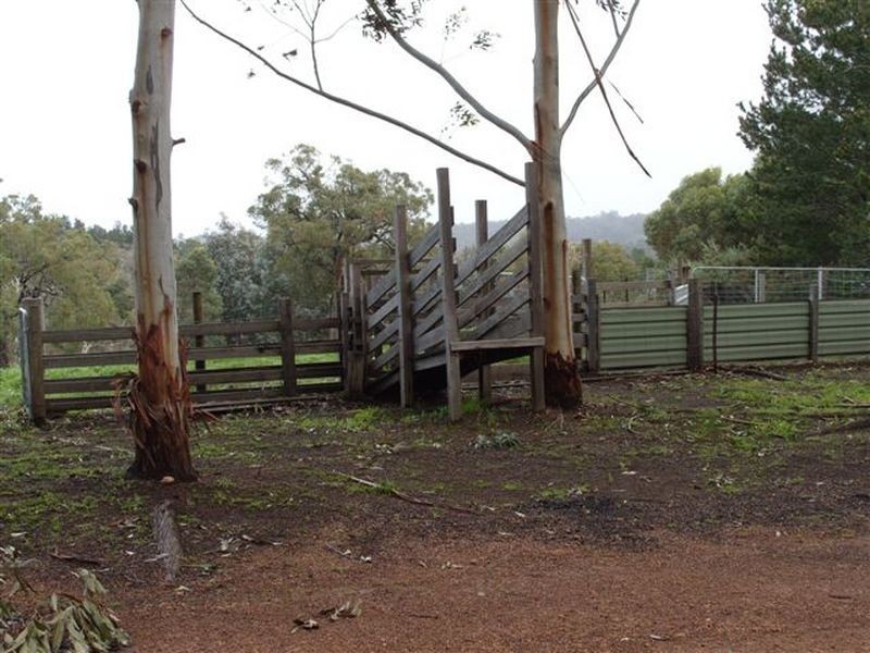 50 Henderson Road, Bridgetown WA 6255