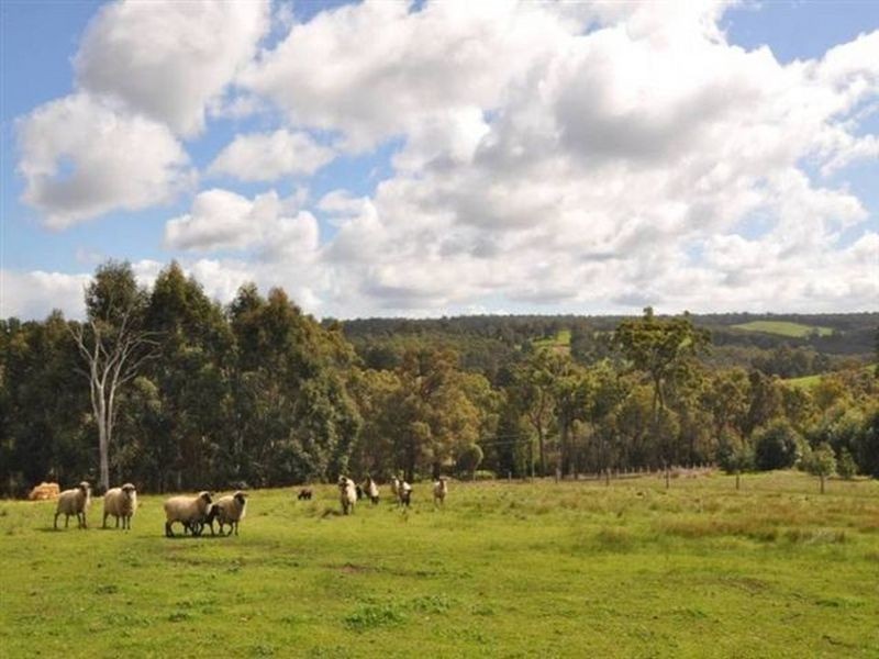 50 Henderson Road, Bridgetown WA 6255