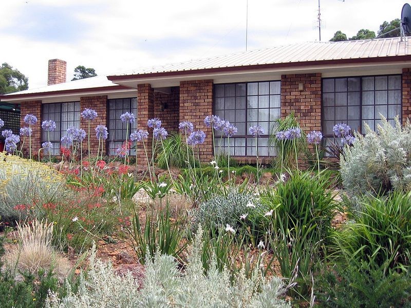 Lot 777 Cullen Street, Bridgetown WA 6255