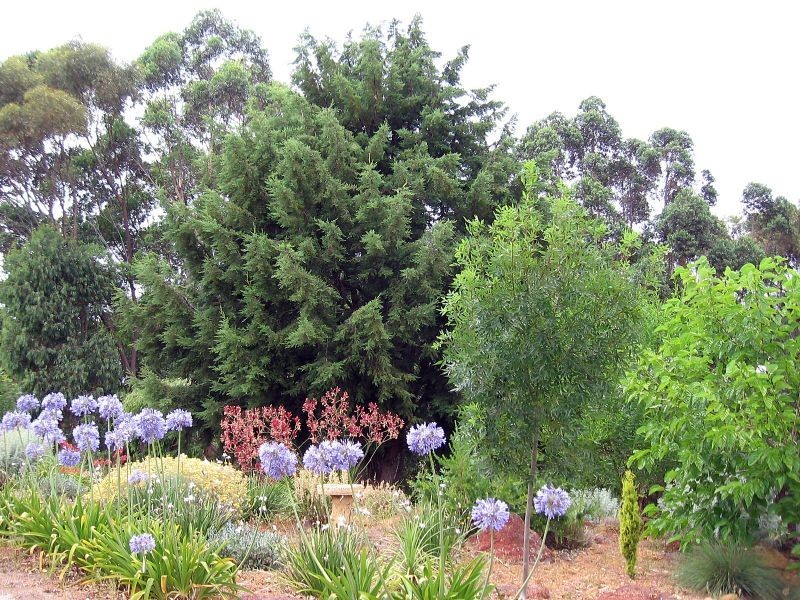 Lot 777 Cullen Street, Bridgetown WA 6255