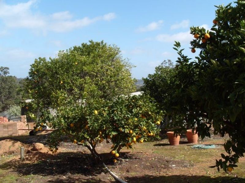 Lot 777 Cullen Street, Bridgetown WA 6255