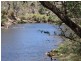 888 Browne -Wheatley Road, Yornup WA 6256