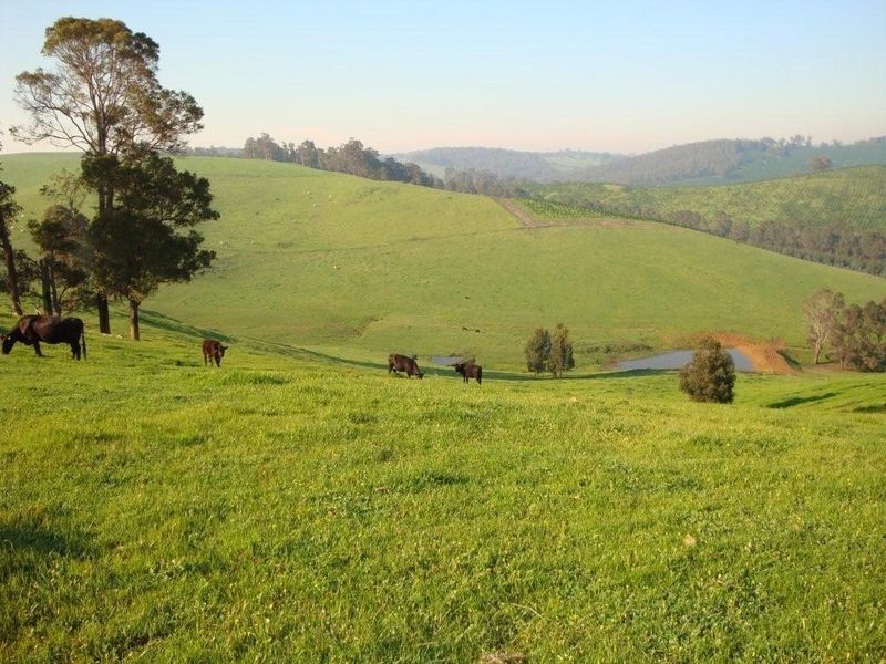 888 Browne -Wheatley Road, Yornup WA 6256