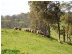 888 Browne -Wheatley Road, Yornup WA 6256