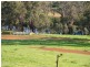 888 Browne -Wheatley Road, Yornup WA 6256