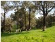 888 Browne -Wheatley Road, Yornup WA 6256