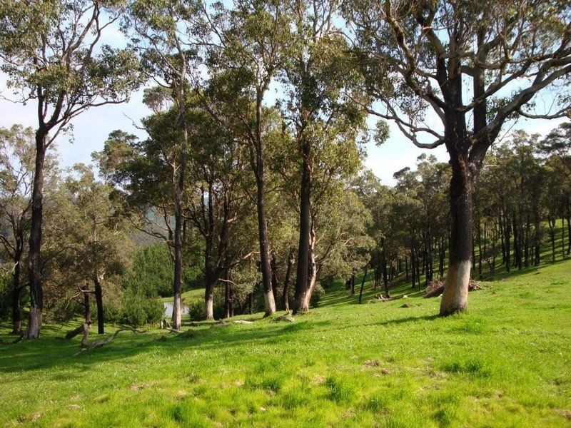 888 Browne -Wheatley Road, Yornup WA 6256