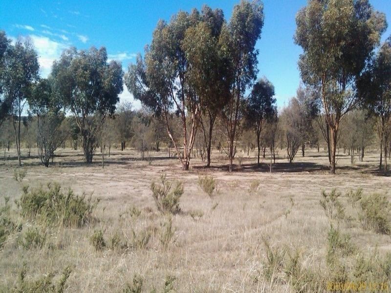 174 Ebsary, Dumbleyung WA 6350