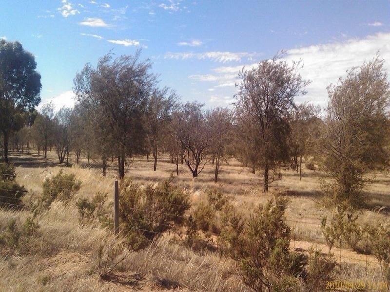 174 Ebsary, Dumbleyung WA 6350