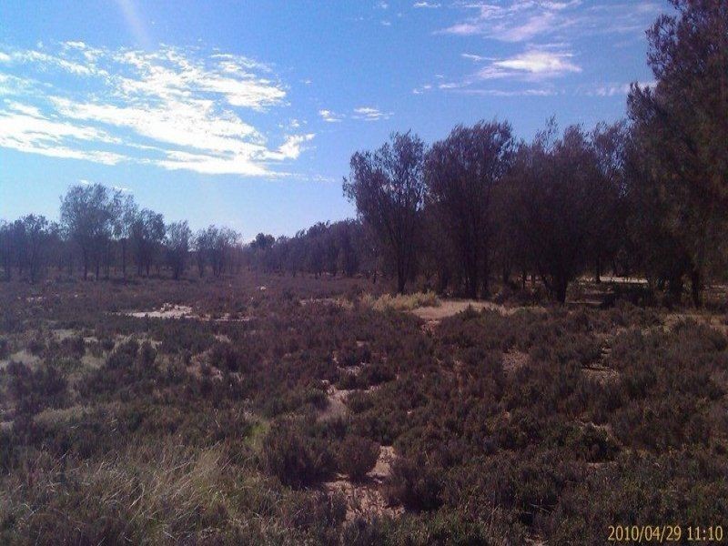 174 Ebsary, Dumbleyung WA 6350