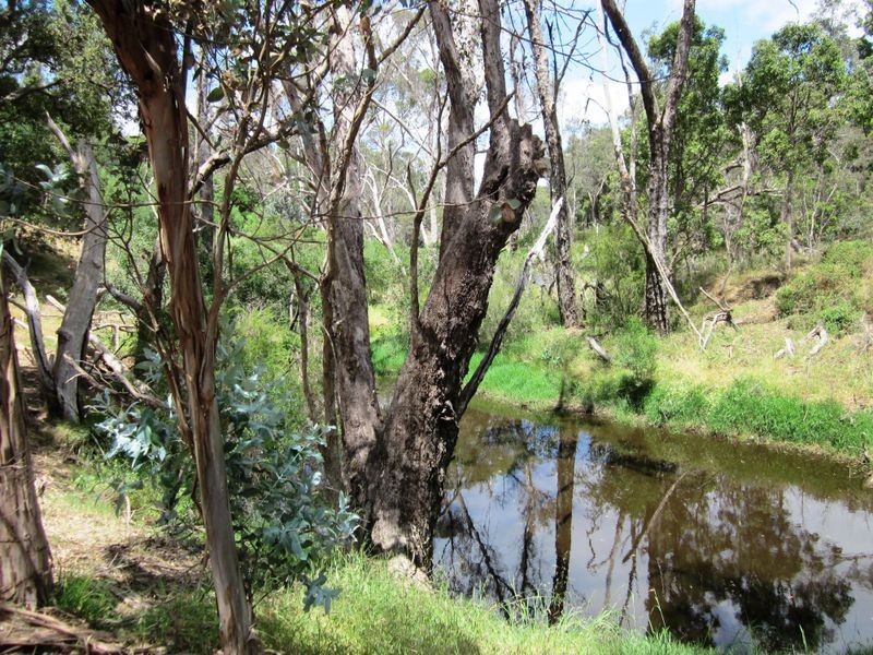 87 River Road, Bridgetown WA 6255