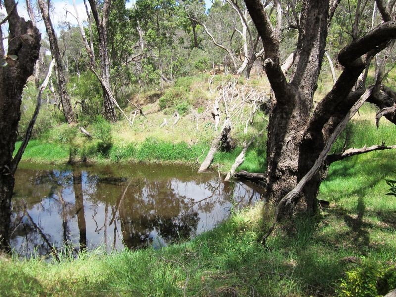 87 River Road, Bridgetown WA 6255