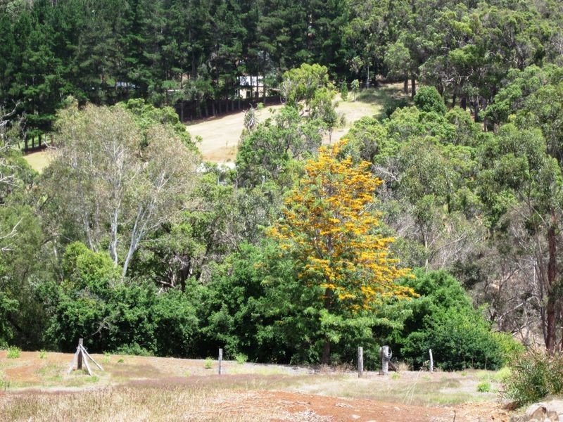 87 River Road, Bridgetown WA 6255