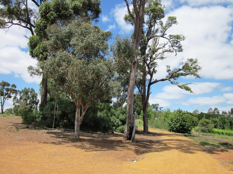 87 River Road, Bridgetown WA 6255