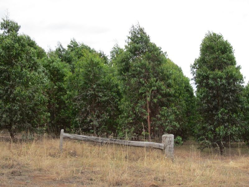 55 Hester Road, Bridgetown WA 6255