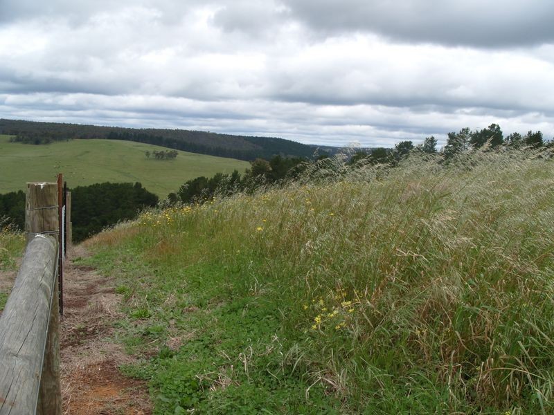 Lot 130 Golden Ash Rise, Bridgetown WA 6255