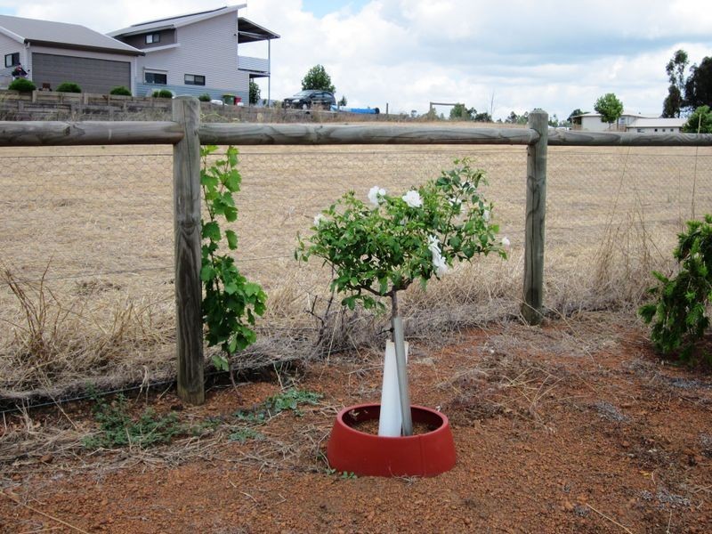 64 Balmoral Drive, Bridgetown WA 6255