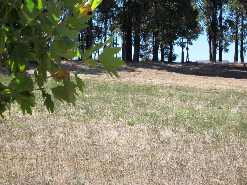 Lot 115 Argyll Avenue, Bridgetown WA 6255