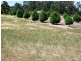 Lot 115 Argyll Avenue, Bridgetown WA 6255
