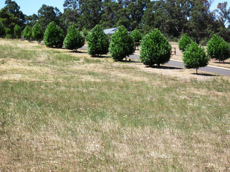 Lot 115 Argyll Avenue, Bridgetown WA 6255