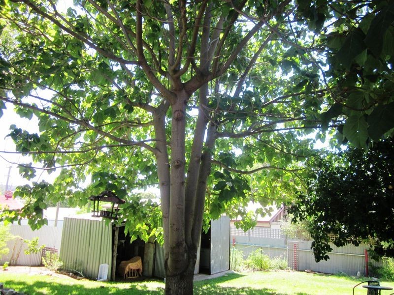 141 Roe Street, Bridgetown WA 6255