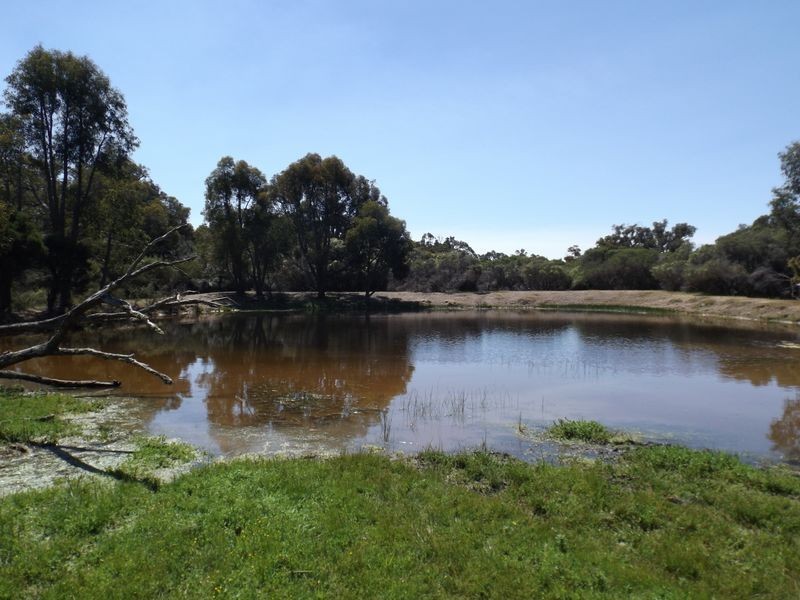 2309 Mill Road, Yornup WA 6256