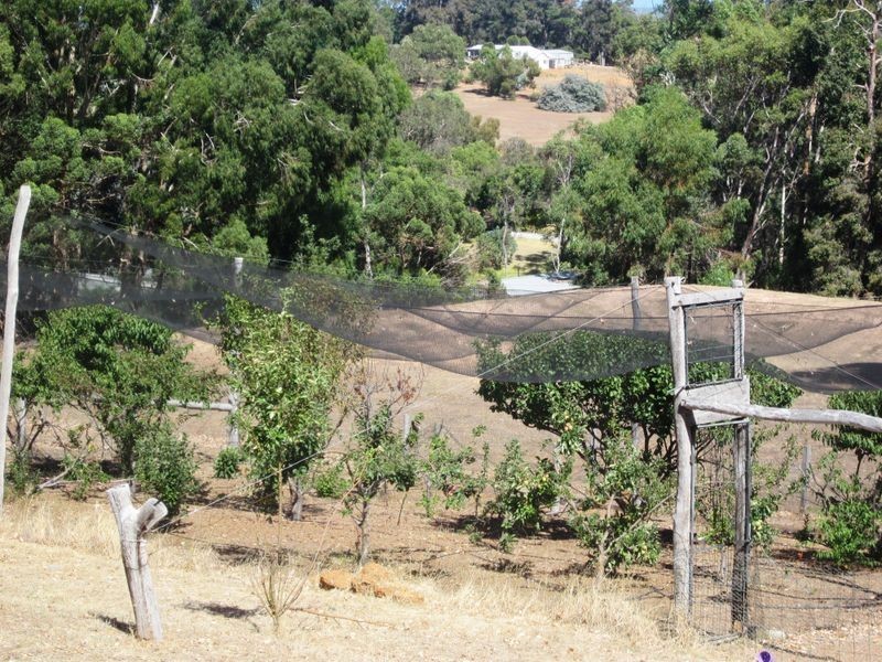 686 McLarty Street, Bridgetown WA 6255