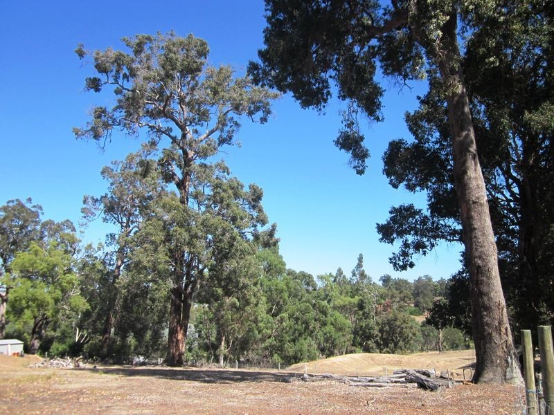 686 McLarty Street, Bridgetown WA 6255