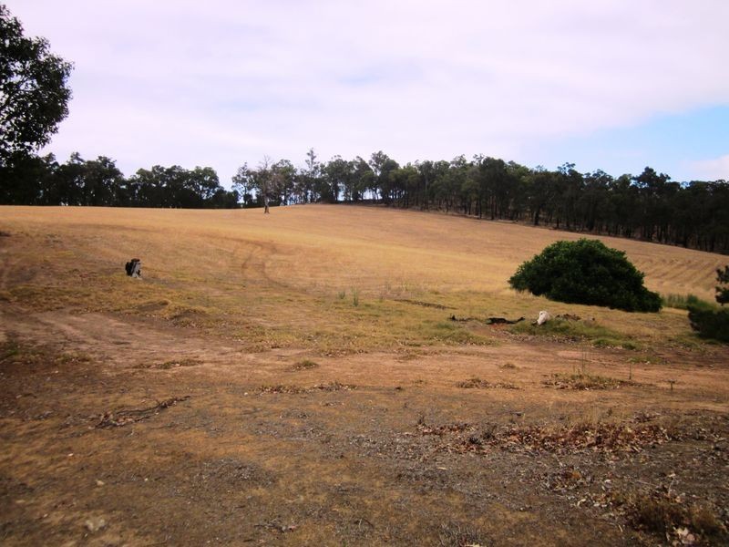 20 Allnutt Street, Bridgetown WA 6255