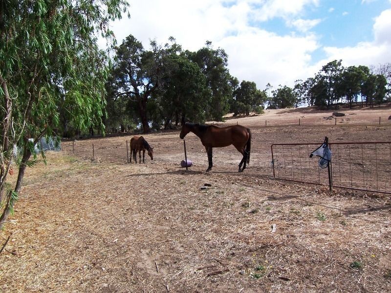 5 Lee-Steere Drive, Boyup Brook WA 6244