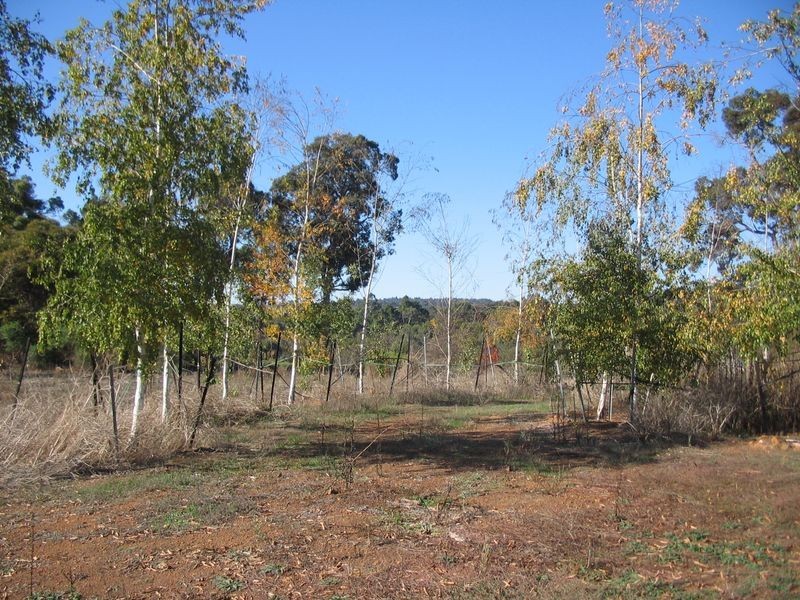 83 River Road, Bridgetown WA 6255