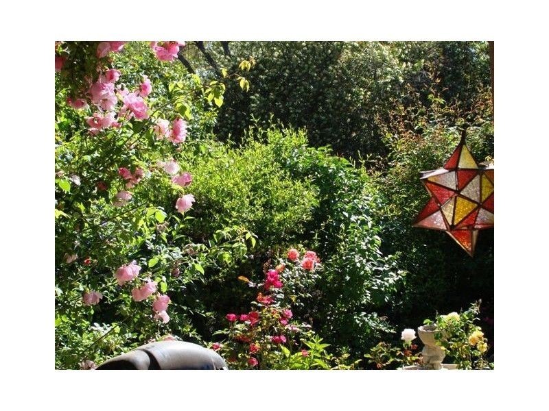 23 McAlinden Street, Bridgetown WA 6255