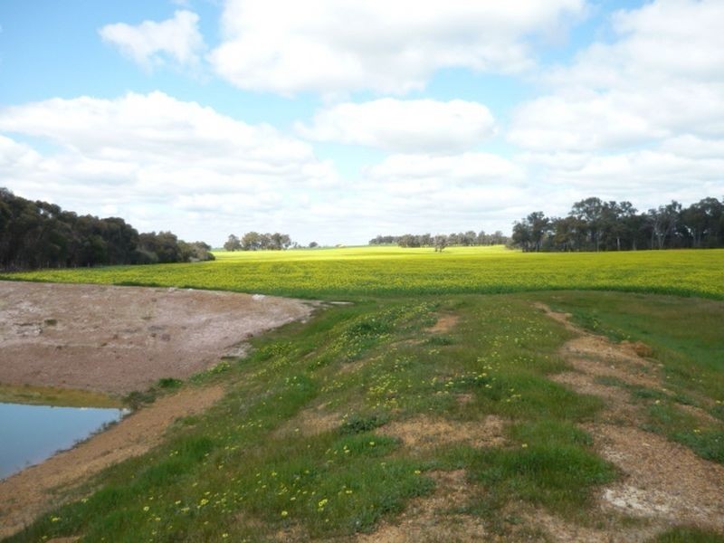 Lot 51 Area Road, Kulikup WA 6244