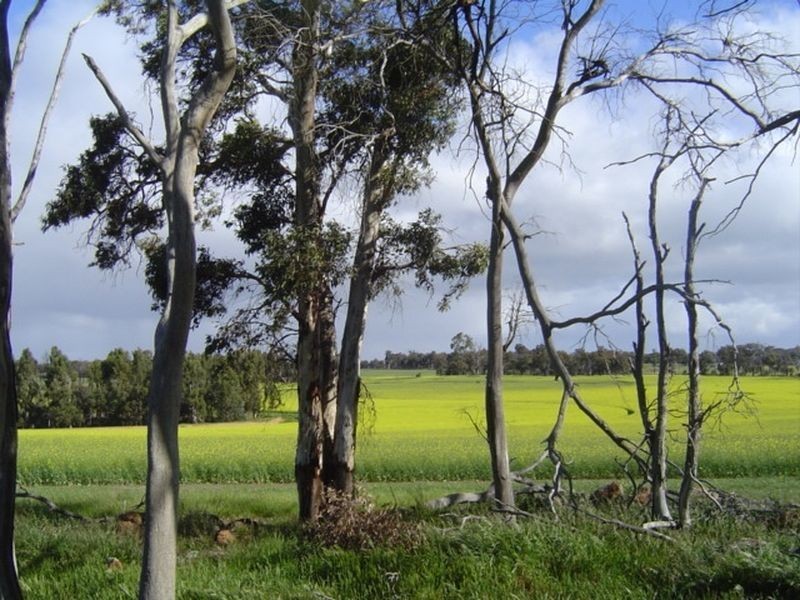 Lot 51 Area Road, Kulikup WA 6244