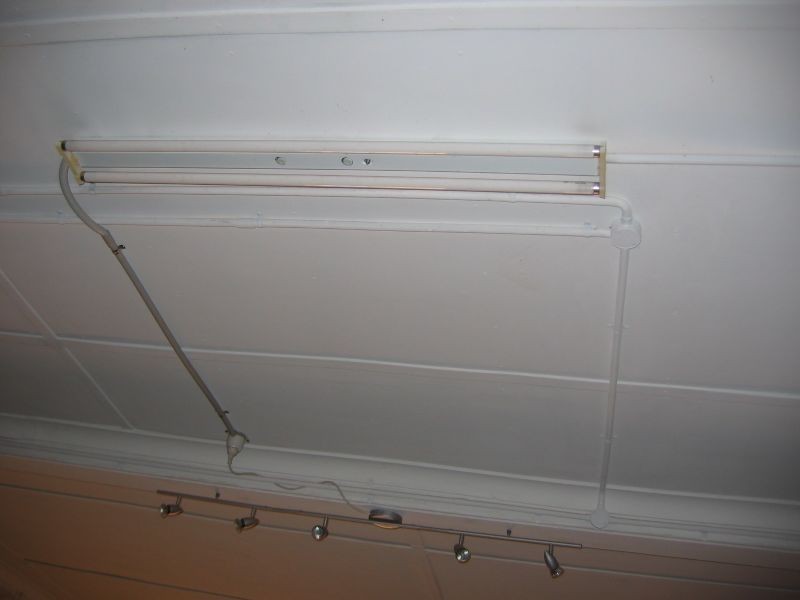 115 Hampton Street, Bridgetown WA 6255